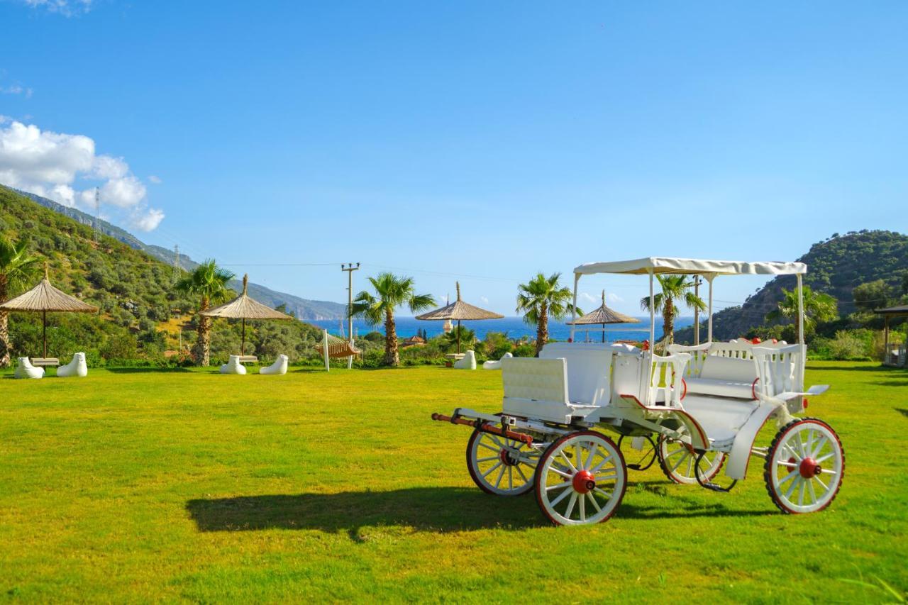 Manaspark Deluxe Hotel Oludeniz Exterior photo